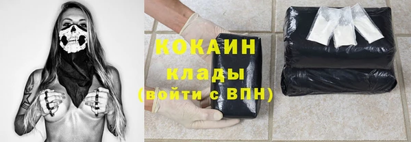 дмт Инсар