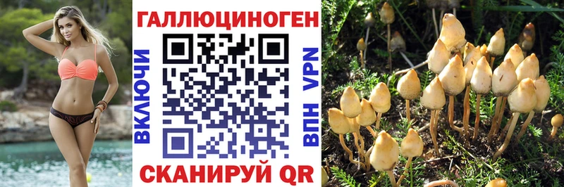 Купить  Медынь  Галлюциногенные грибы ЛСД 